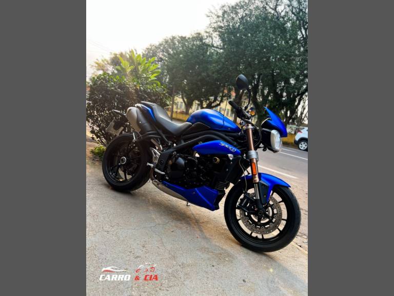 TRIUMPH - SPEED TRIPLE - 2014/2014 - Azul - R$ 39.900,00